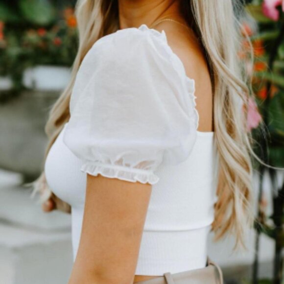 Wilfred Crop Top Sheer Puff Statement Sleeves Dollette Balletcore Fairy Lolita - Picture 3 of 14